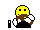smiley-fahrer.gif